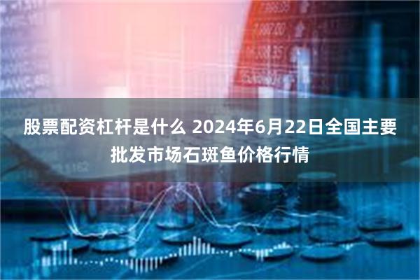 股票配资杠杆是什么 2024年6月22日全国主要批发市场石斑鱼价格行情