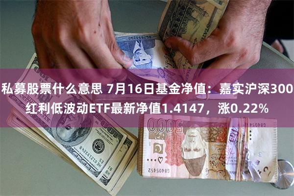 私募股票什么意思 7月16日基金净值：嘉实沪深300红利低波动ETF最新净值1.4147，涨0.22%