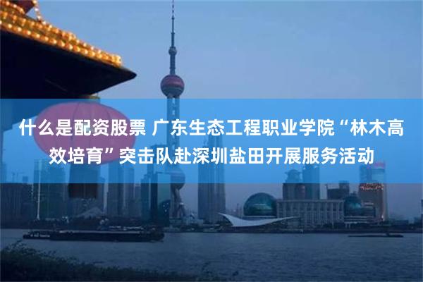 什么是配资股票 广东生态工程职业学院“林木高效培育”突击队赴深圳盐田开展服务活动