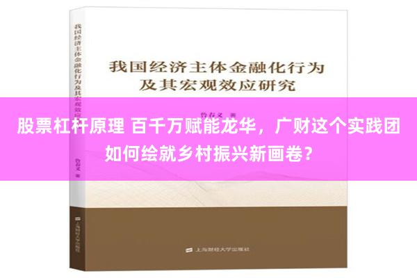 股票杠杆原理 百千万赋能龙华，广财这个实践团如何绘就乡村振兴新画卷？