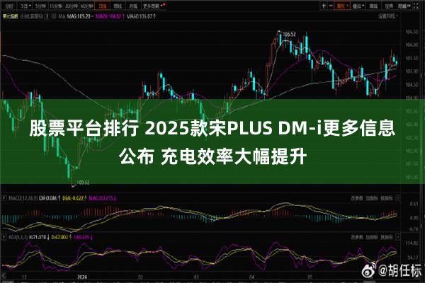 股票平台排行 2025款宋PLUS DM-i更多信息公布 充电效率大幅提升