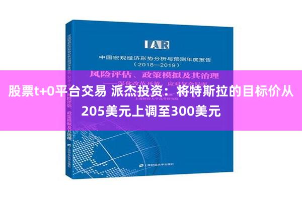 股票t+0平台交易 派杰投资：将特斯拉的目标价从205美元上调至300美元