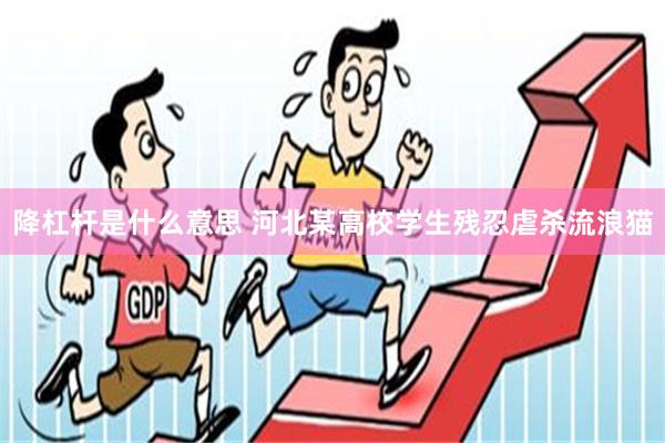 降杠杆是什么意思 河北某高校学生残忍虐杀流浪猫