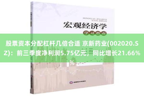 股票资本分配杠杆几倍合适 京新药业(002020.SZ)：前三季度净利润5.75亿元，同比增长21.66%