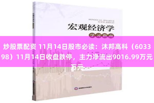 炒股票配资 11月14日股市必读：沐邦高科（603398）11月14日收盘跌停，主力净流出9016.99万元