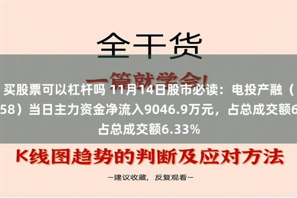 买股票可以杠杆吗 11月14日股市必读：电投产融（000958）当日主力资金净流入9046.9万元，占总成交额6.33%