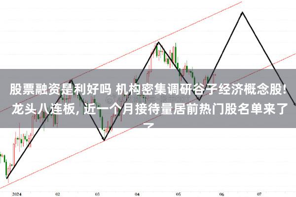 股票融资是利好吗 机构密集调研谷子经济概念股! 龙头八连板, 近一个月接待量居前热门股名单来了