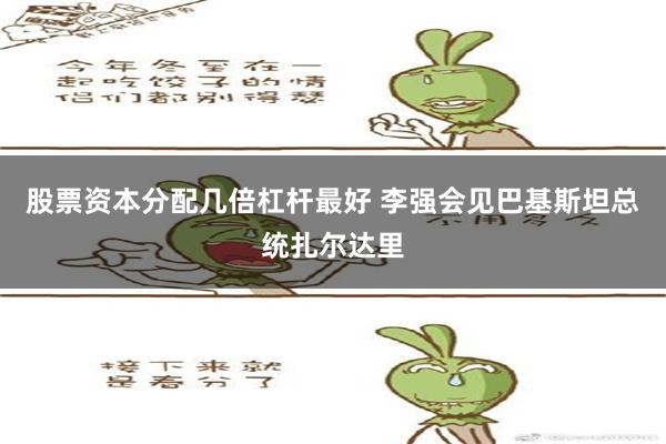 股票资本分配几倍杠杆最好 李强会见巴基斯坦总统扎尔达里