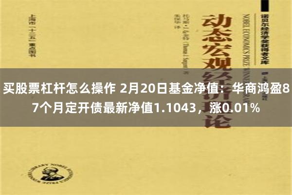 买股票杠杆怎么操作 2月20日基金净值：华商鸿盈87个月定开债最新净值1.1043，涨0.01%